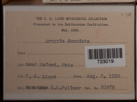 Image Associated With the Occurence